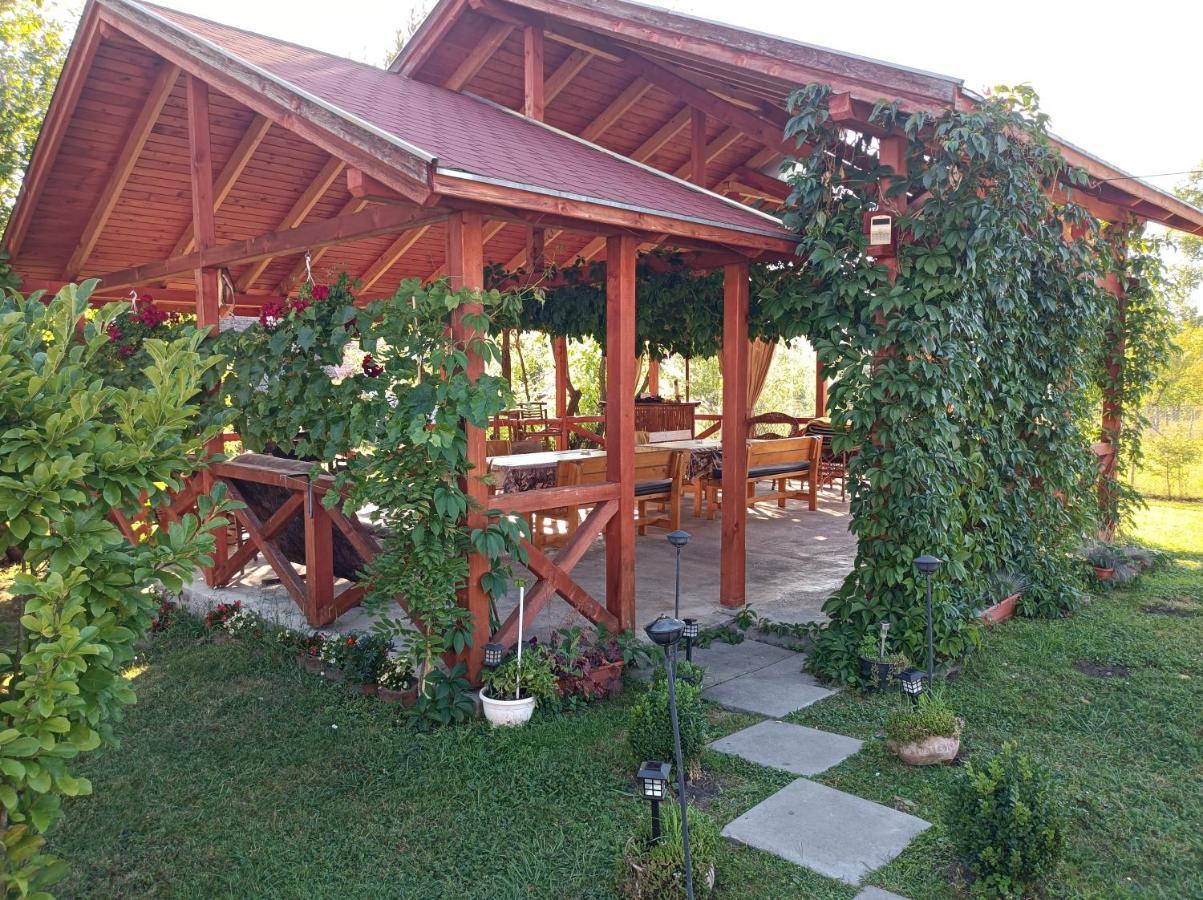 Narcisz B&B 코룬드 외부 사진