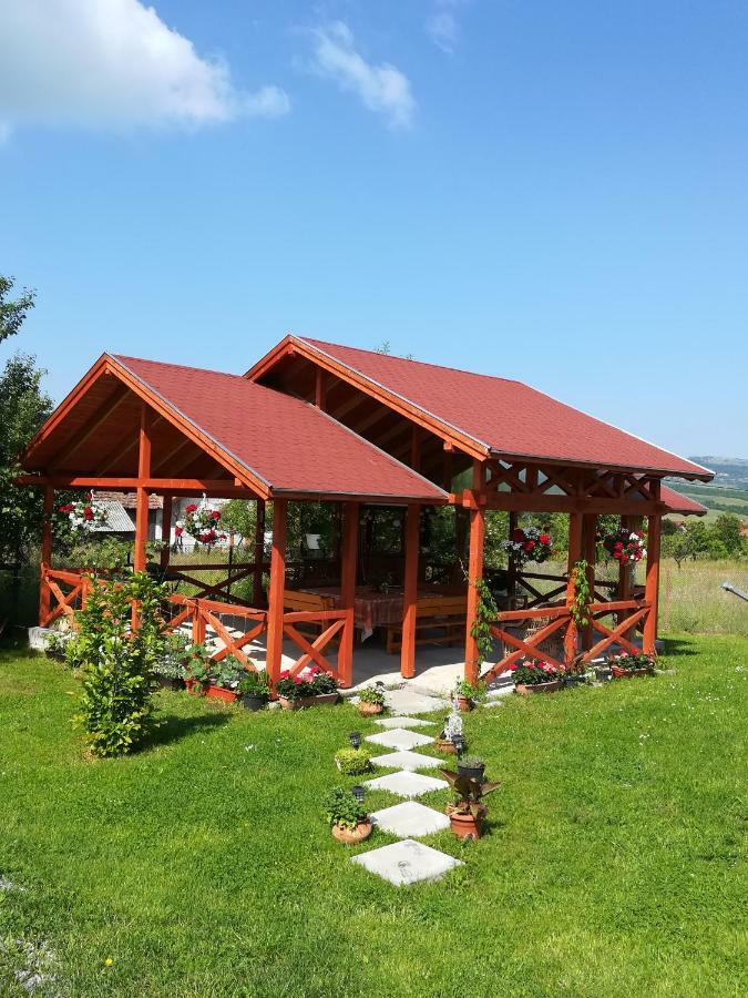 Narcisz B&B 코룬드 외부 사진